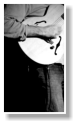  Juan Pedro Salinero