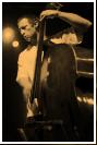 basse / contrebasse